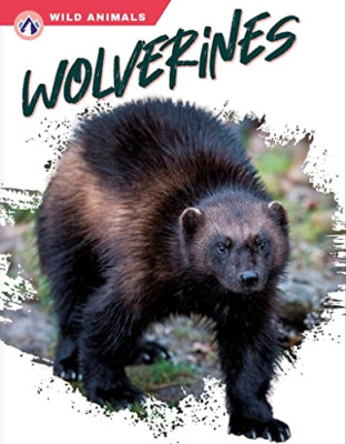 Wild Animals: Wolverines - Paperback NEW Gendell, Megan 01/03/2023