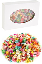 200 St&uuml;ck Getrocknete Blumen K&ouml;pfe, Trockenblumen Klein G&auml;nsebl&uuml;mchen, Brasilian