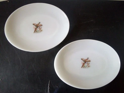 2 VTG ANCHOR HOCKING FIRE KING PHEASANT PLATTERS PLATE OVAL 12" RARE ai