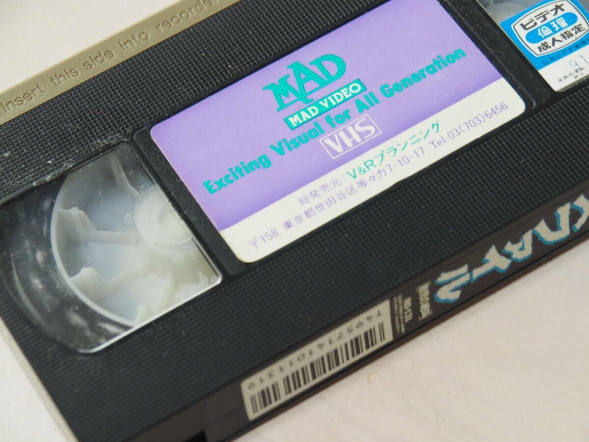 発達診断の実際 VHS ビデオ 2,3歳児 新プロジェクトX～挑戦者たち～ 旧作アンコール 窓際族が世界
