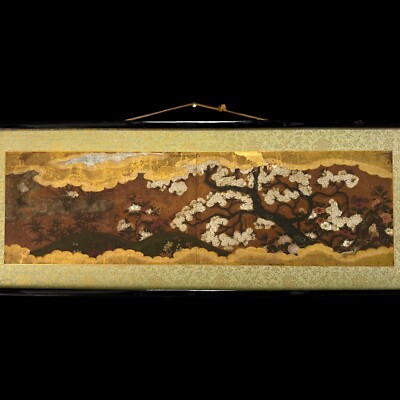梅花17 Superb early painting depicting Sakura blossoms. 16-17th c