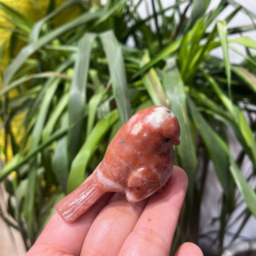 1 pieza Piedra de Sésamo Natural Cuarzo Tallado Pájaro Calavera Cristal Reiki Decoración Regalo 2.4"" - Imagen 2 de 15