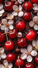 Digital Image Photo Wallpaper Background Desktop Cherries & Flowers! Only $0.99!
