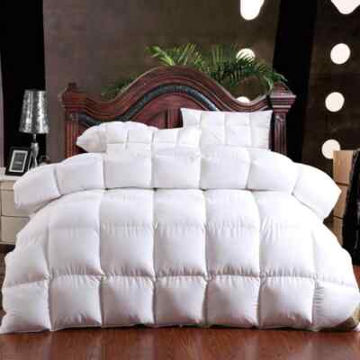 Winter Warm Quilts Duvet Blanket Filler Goose Comforter King Queen Twin Size