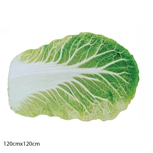 Double-Sided Flannel Creative Appearance Home Sofa Cabbage Blanket Sofa Blankets - Picture 3 of 14