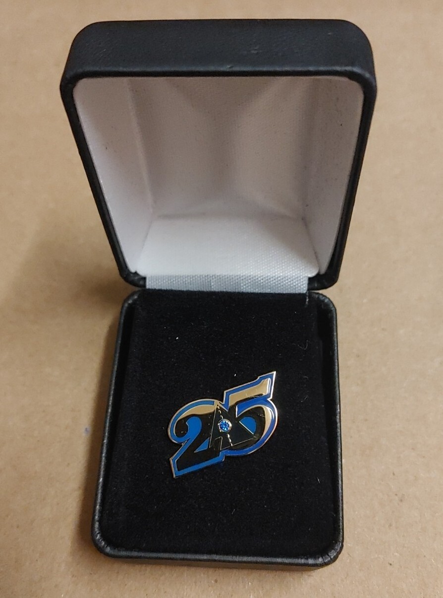 Autozone 25 Year Employee Pin Great Gift Idea | Ebay