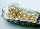 goldenpearl_22