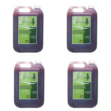 Professional PINE Floor Gel Cleaner - Commercial Grade Premium Quality 20L BULK 2.05 per litre