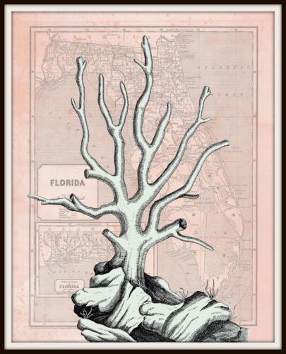 Mapa de Florida con coral, mapa vintage del estado de Florida de 1842, rosa, azul o verde - Imagen 2 de 10