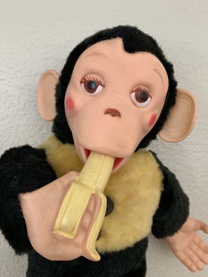 mr bim monkey history