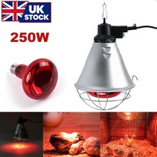 Infrared Heat Lamp Poultry