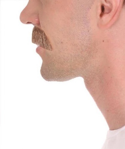 HPO Men's Brown Spiv Moustache Fake Facial Hair for Cosplay Halloween - Picture 2 of 2