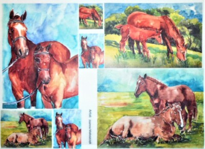 Rice Paper Decoupage Scrapbook Craft Sheet Paint Picture Horses 452