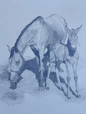 HORSE FAMILY DRAWING HORSES REALISTIC REALISM SHERI GREVES LISTED VINTAGE FAMOUS