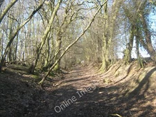 Photo 6x4 Footpath to Hongland near Collington Wood Bulleign This wood li c2010