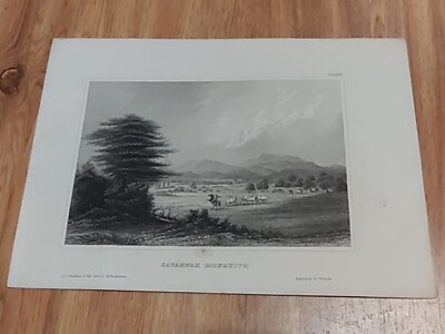 Origin. Stahlstich ''Savannah (Mosquito)'', Meyers Konversations Lexikon, ca. 1850