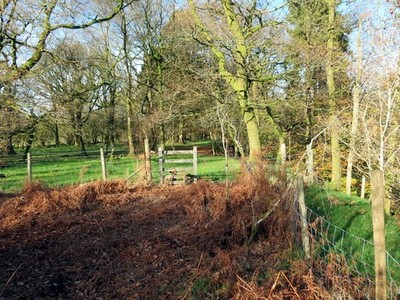 Foto 6x4 Llwybr Pont ar Llia \/ Pont ar Llia Fußweg Ystradfellte Llwyb um 2017