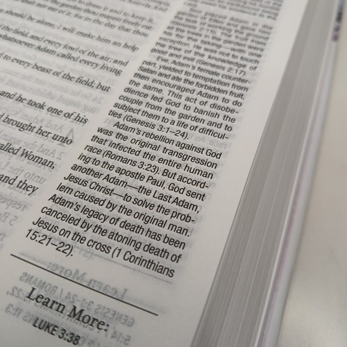 KJV Studienbibel Die 1-minütigen Lavendelblütenblätter King James Version Geschenk - Bild 16 von 24