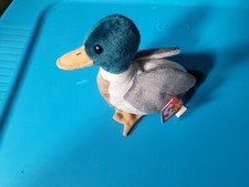 Ty Beanie Baby Jake The Mallard Drake Duck Rare ~ Red Stamp ~ Hang Tag Sealed