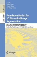 Foundation Models For 3D Biomedical Image Segmentation Yuyin Zhou