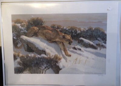 Bob Kuhn Signed ''Silent As The Snow''  Mountain Lion Print 1982 Ltd Ed #312/750