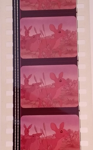 35mm Feature Film – Watership Down 1978 - Foto 3 di 11