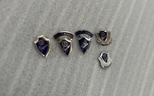 Lot of 5 Vtg 1984 US JAYCEES President Charter Historical Lapel Pin Silver Blue