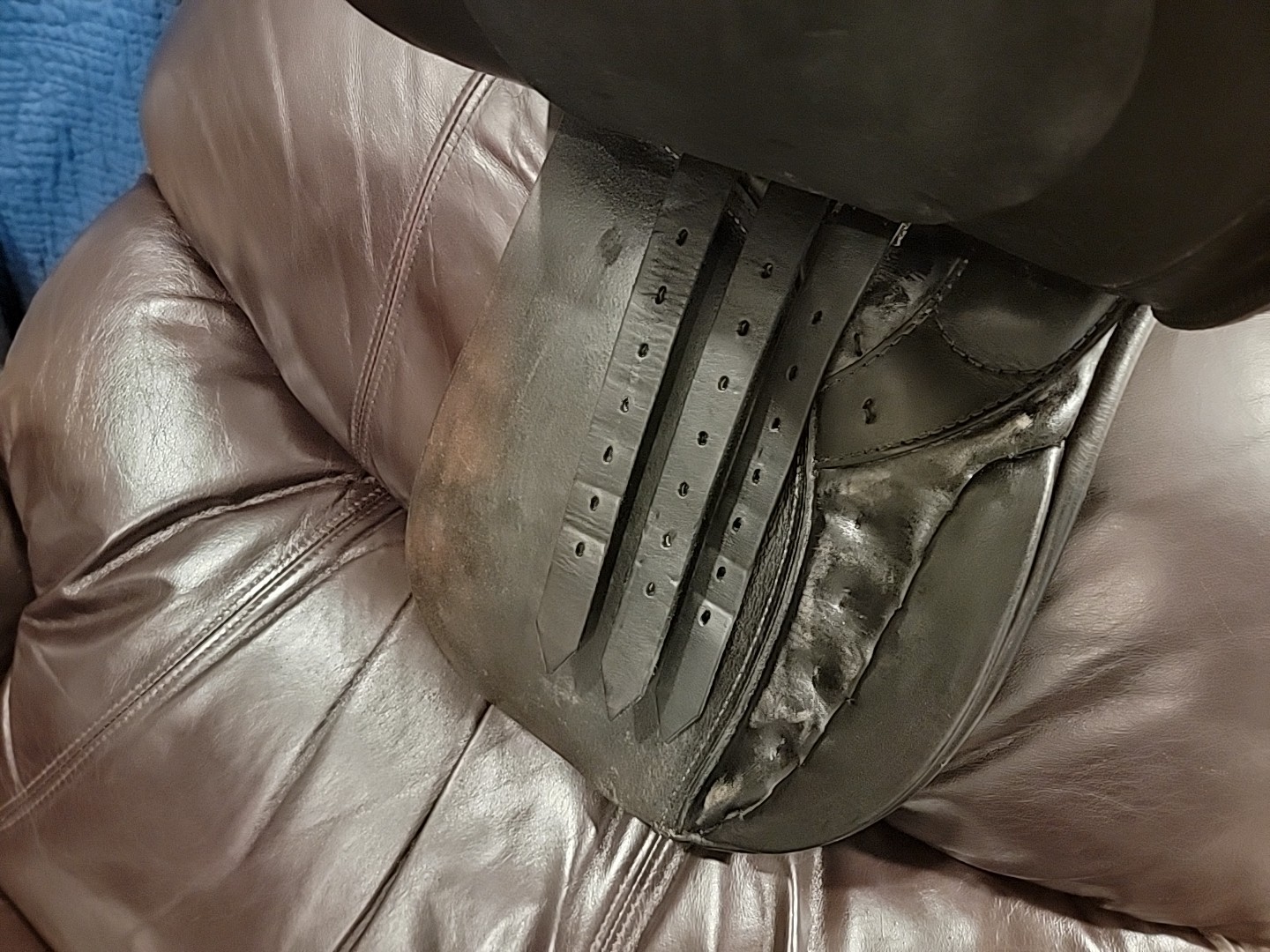 17” Black Passier PS Baum VSD Dressage Saddle Medium tree short billets Longflap