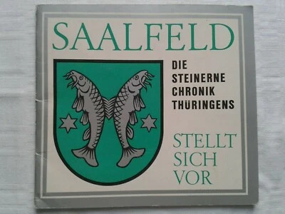 Saalfeld die Steinerne Chronik Thüringens stellt sich vor  - Bild 1 von 4