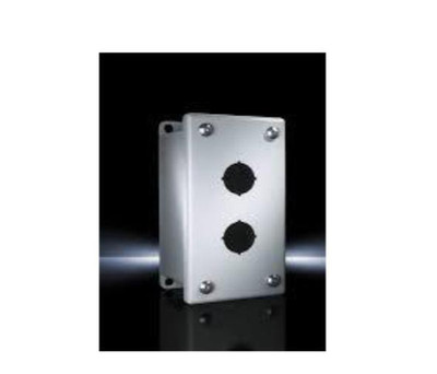 Rittal 2 Hole Painted Enclosure (E2-PB)