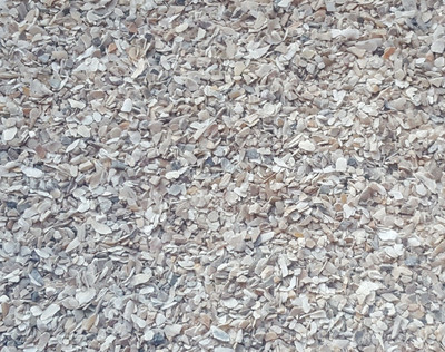 Austernschalen Austerngrit 5kg Muschelgrit fein 1-2,5mm