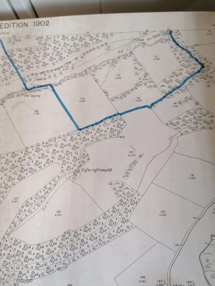 ORDNANCE SURVEY mapa MONTGOMERYSHIRE CYFRONYDD HALL Pre Primera Guerra Mundial #hoja XXII.8 1902 Foto 2 de 4