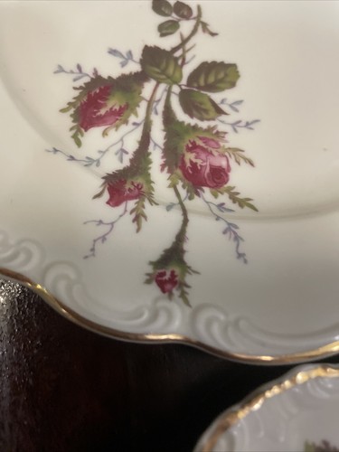 rosenthal china Moss Rose Roses pompador ivory china Set 4 Salad Plates Floral - Picture 6 of 10