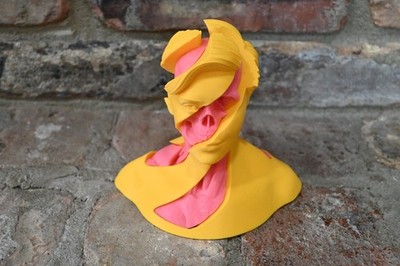 Whirls Anatomy 3D Printed