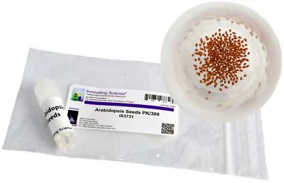 Arabidopsis Seeds, 300/Packet - Innovating Science