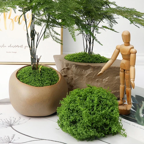 Artificial Fresh Green Moss Micro Landscape Fake Moss Garden Crafts Home Decor H - Picture 5 of 11
