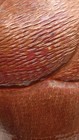 Vintage Hammered Copper Vase  Arts and Crafts "Pumpkin" Form — photo 9