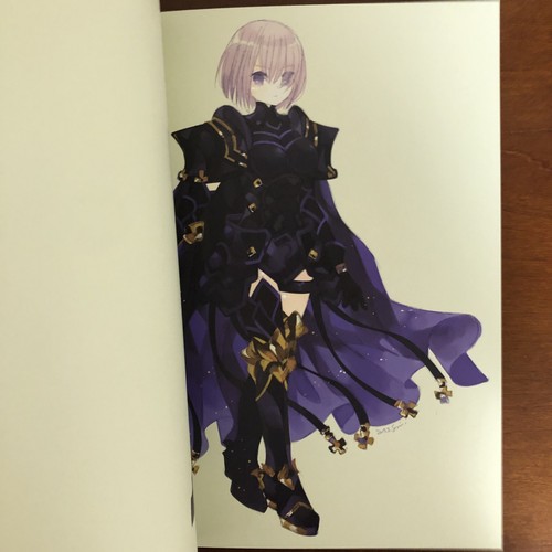 Fate Arrange Design Book Sumisu 4649 Art Book Illustration - 第 9/24 張圖片