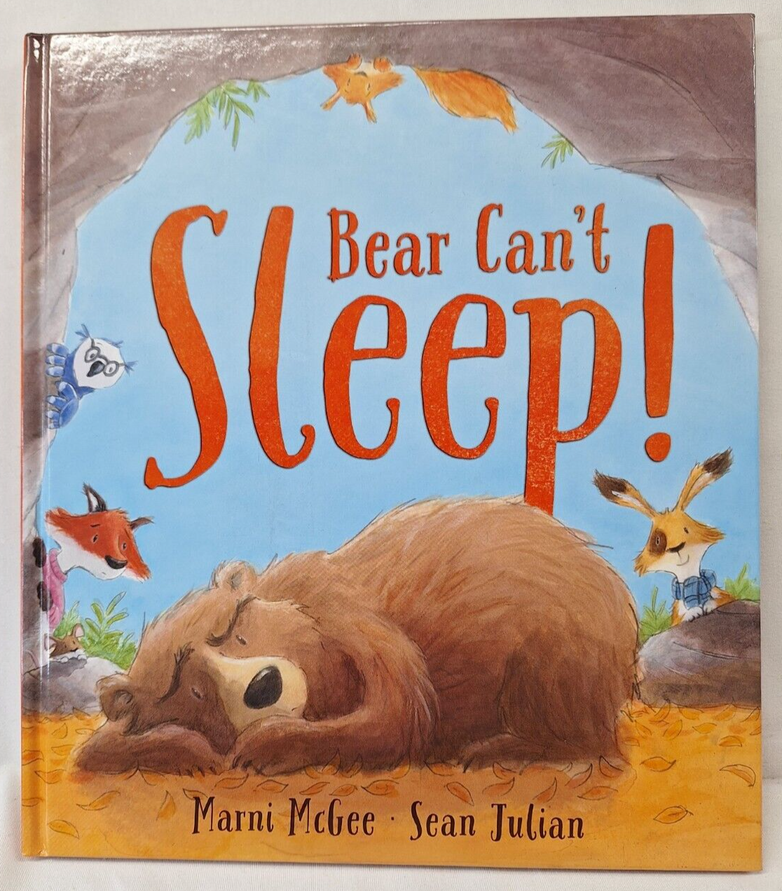 Bear Can't Sleep Hardback Book Kids Marni McGee Sean Julian ISBN 9781848953307