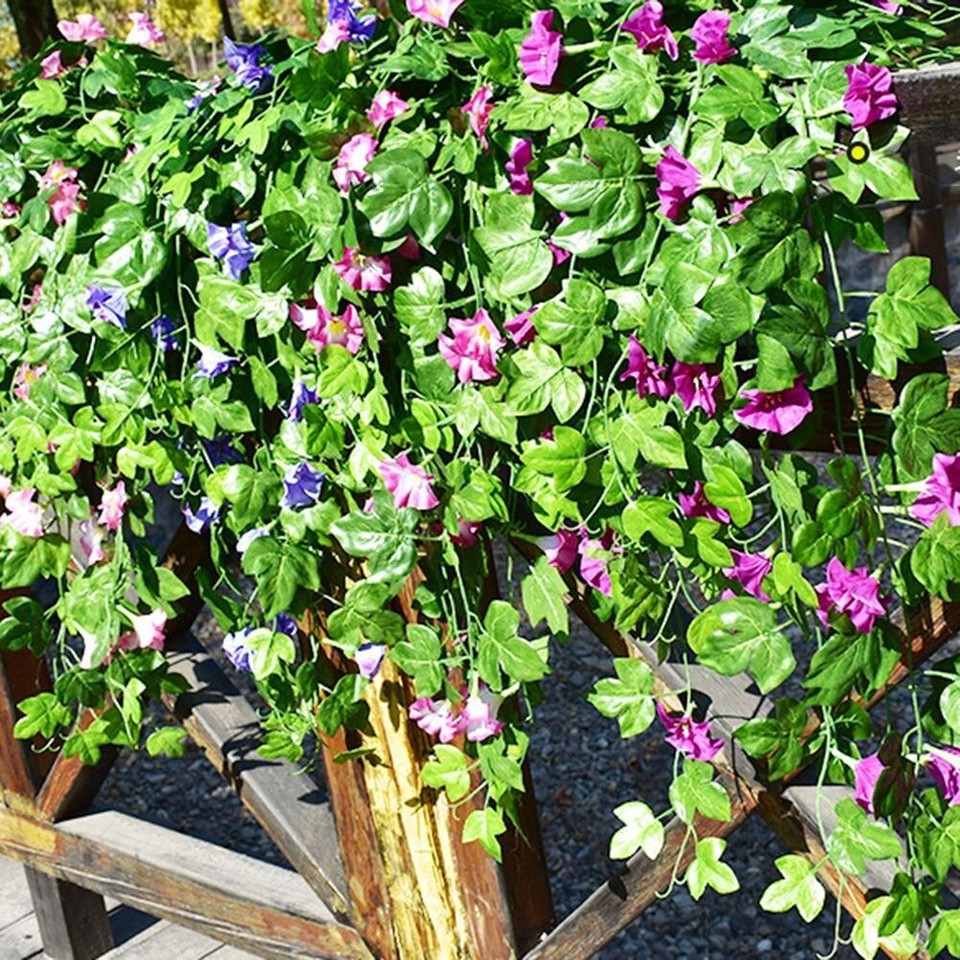 Easy Maintenance Artificial Morning Glory Flowers for Long lasting