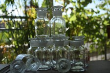 Apothekerflasche 60 ml, Weißglas, Weithals  (10er Pack)