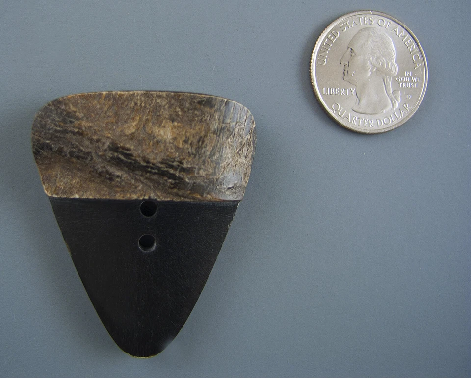 X-LARGE HORN(BOVINE) CLOTHING BUTTON - Image 3 of 3