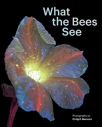 What the Bees See by Craig P. Burrows (Hardback Book) - Image 6