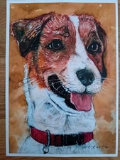 Digital Print Of A Hand Drawn Illustration Of A Jack Russell Dog.