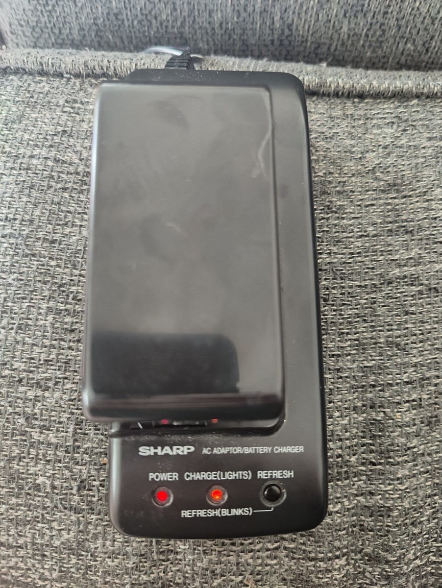 Caméscope Sharp Hi8 VIEWCAM VL-HL100 fonctionne image granuleuse vendue telle qu