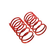 MTS Technik Lowering Springs Fits BMW E61 Estate