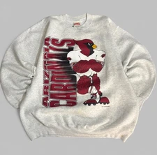 Vintage Nutmeg 1994 Arizona Cardinals Sports crewneck with front and back print