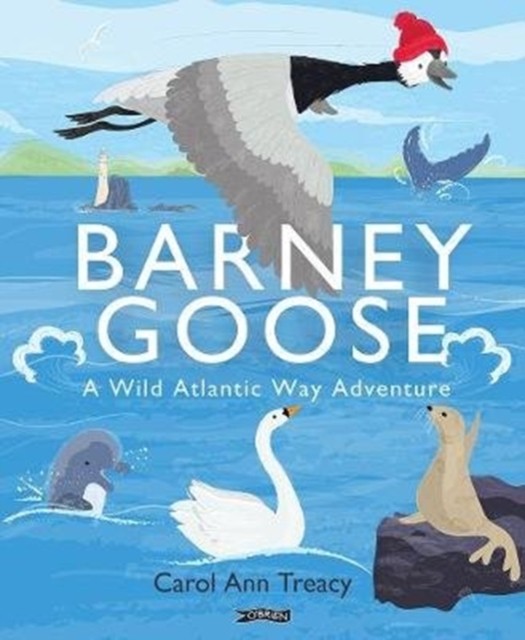 Barney Goose A Wild Atlantic Way Adventure by Carol Ann Treacy (Hardback Book)