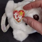Foto 5 di 6