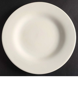 Set Of 2 Pottery Barn White Dinner Plates Sausalito White